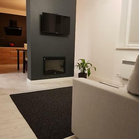 Misvest Karol IX Apartment Zabrze Exterior foto
